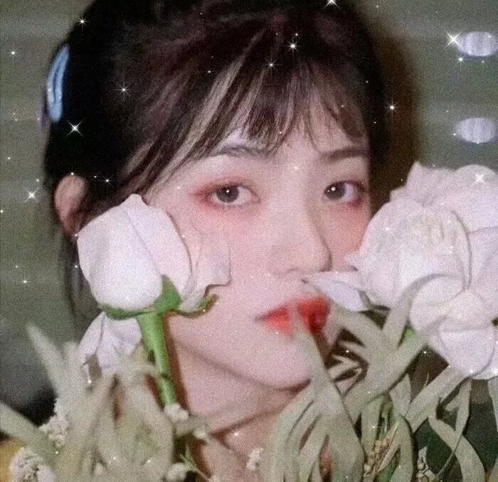 戴勋章的走私犯